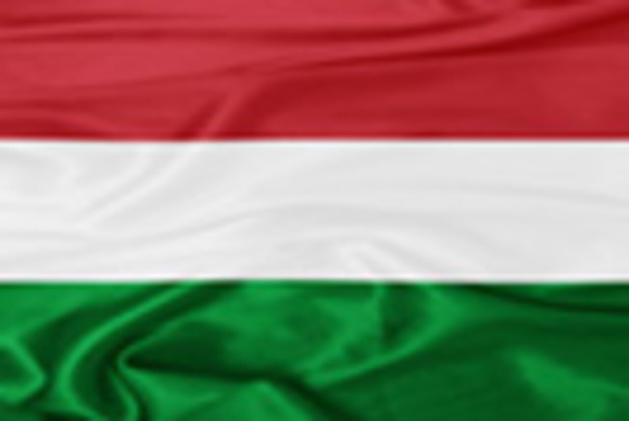 Ungarische Fahne